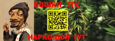 СК Дубна