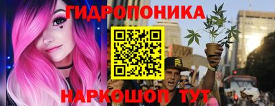 СК Дубна