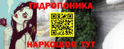 СК Дубна