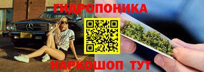 СК Дубна