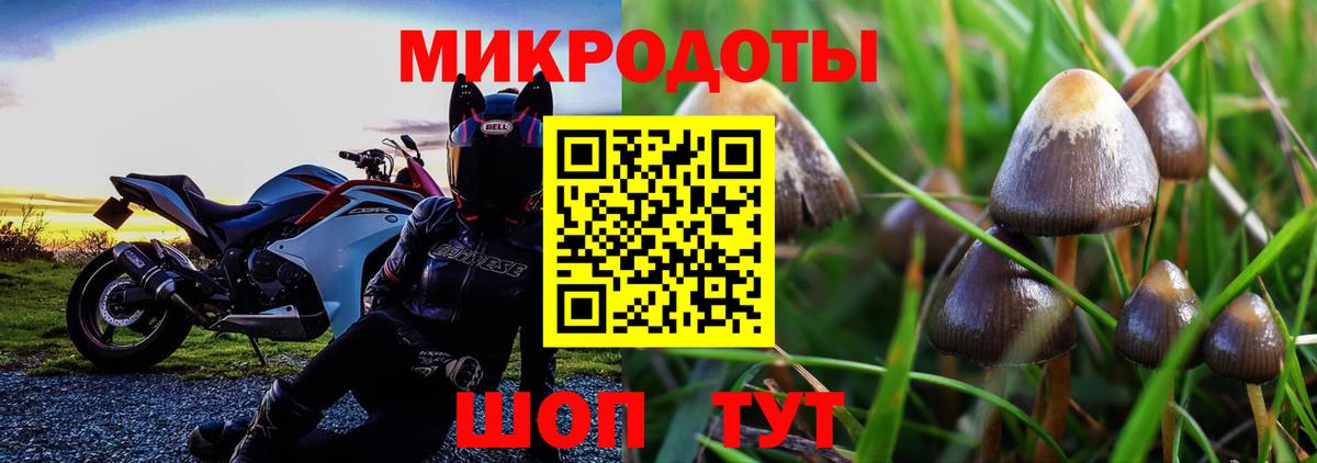 Миасс  Галлюциногенные грибы ЛСД  Вход с VPN 