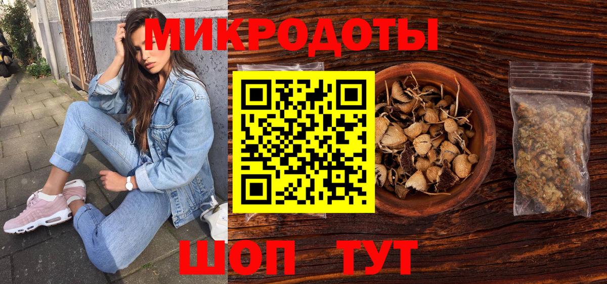 Псилоцибиновые грибы Psilocybe Миасс